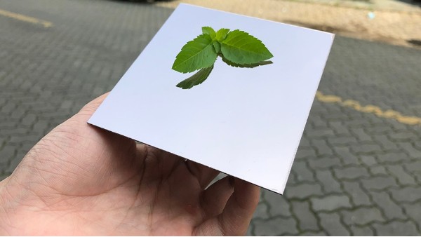 不銹鋼裝飾板加工需要注意什么？